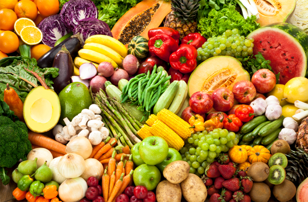 우리 몸에 좋은 식품과 약용식물의 효능 살펴보기